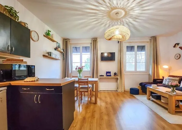 La Petite Sauvagere, Duplex De Charme Et Cosy