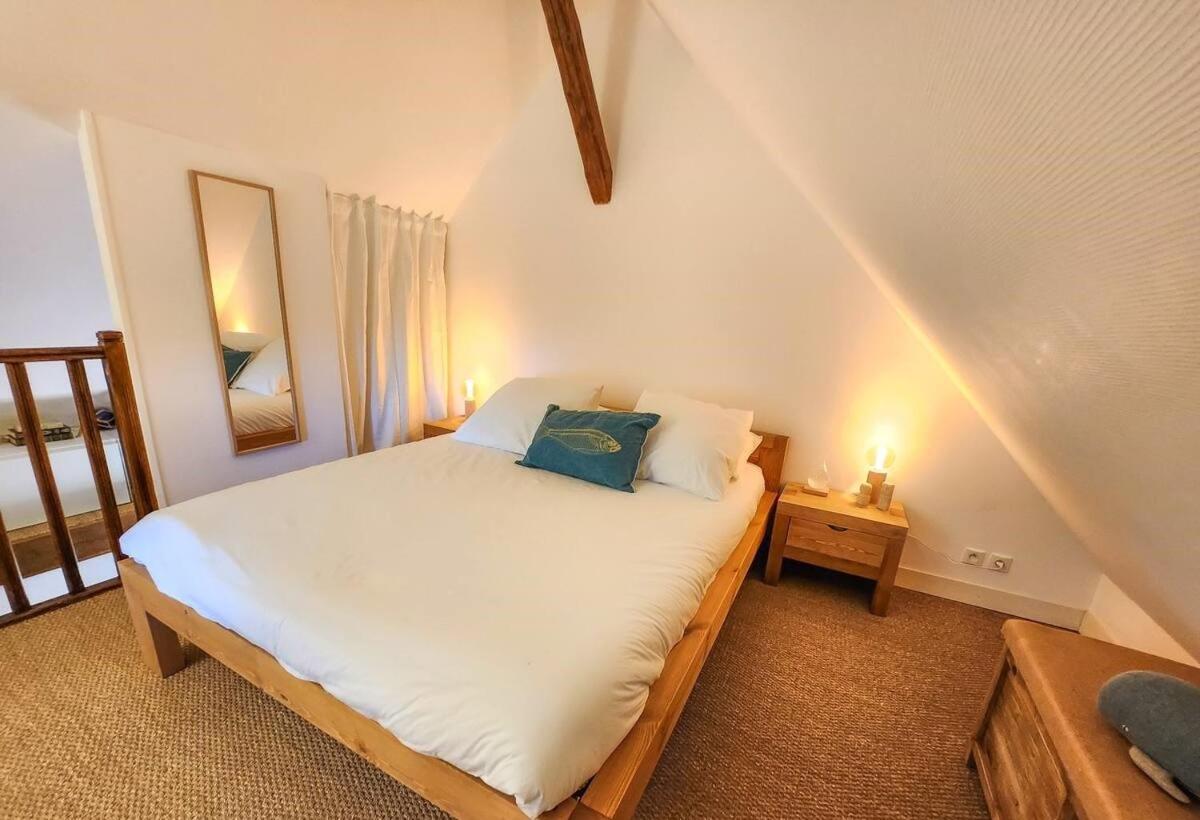 La Petite Sauvagere, Duplex De Charme Et Cosy Apartment *